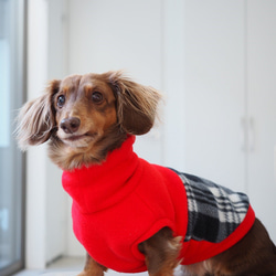 犬服　ダックスちゃんの背中切り替えハイネックタンクトップ　赤×チェック 4枚目の画像