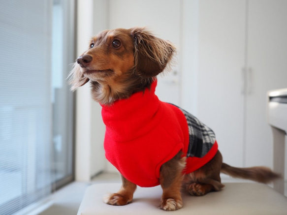 犬服　ダックスちゃんの背中切り替えハイネックタンクトップ　赤×チェック 5枚目の画像