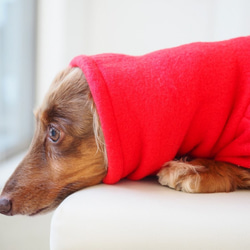 犬服　ダックスちゃんの背中切り替えハイネックタンクトップ　赤×チェック 6枚目の画像