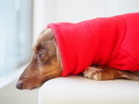 犬服　ダックスちゃんの背中切り替えハイネックタンクトップ　赤×チェック 6枚目の画像