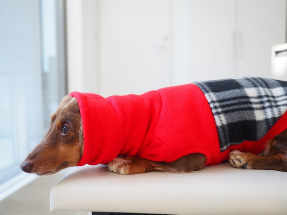 犬服　ダックスちゃんの背中切り替えハイネックタンクトップ　赤×チェック 7枚目の画像