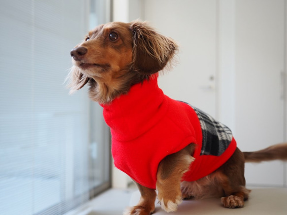 犬服　ダックスちゃんの背中切り替えハイネックタンクトップ　赤×チェック 8枚目の画像