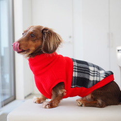 犬服　ダックスちゃんの背中切り替えハイネックタンクトップ　赤×チェック 9枚目の画像