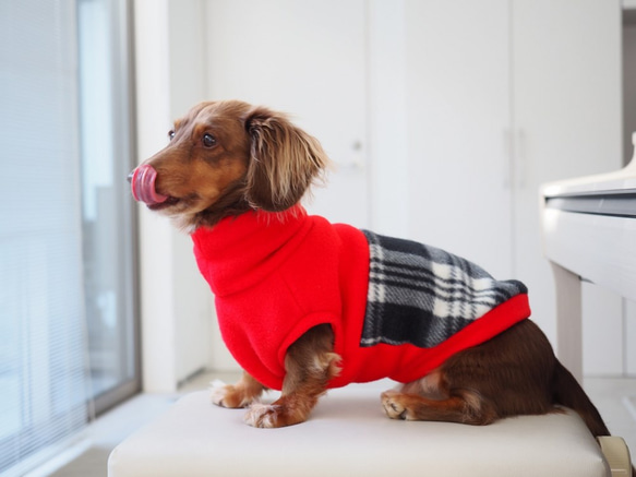 犬服　ダックスちゃんの背中切り替えハイネックタンクトップ　赤×チェック 9枚目の画像