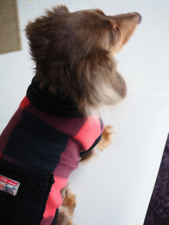 犬服　ダックスちゃんのポケット付ハイネックタンクトップ　赤黒チェック 5枚目の画像