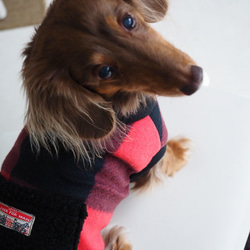 犬服　ダックスちゃんのポケット付ハイネックタンクトップ　赤黒チェック 6枚目の画像