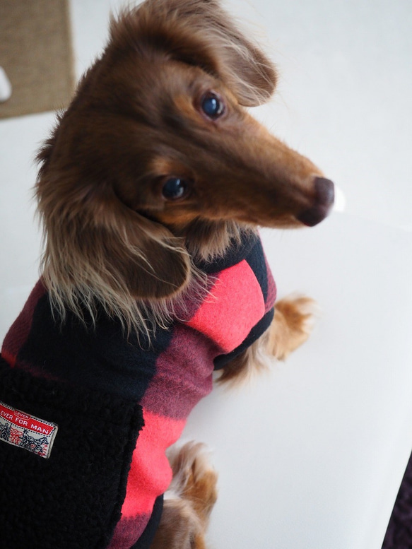 犬服　ダックスちゃんのポケット付ハイネックタンクトップ　赤黒チェック 6枚目の画像