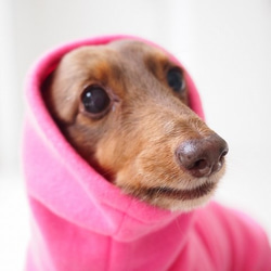 犬服　ダックスちゃんのハイネックタンクトップ　ピンク　中厚手 4枚目の画像