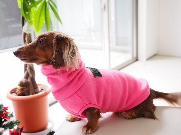 犬服　ダックスちゃんのハイネックタンクトップ　ピンク　中厚手 5枚目の画像