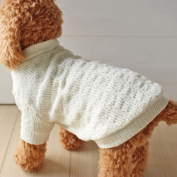 犬服・ジャズネップセットインセーター 1枚目の画像