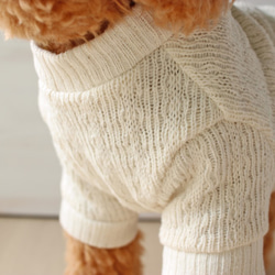 犬服・ジャズネップセットインセーター 4枚目の画像