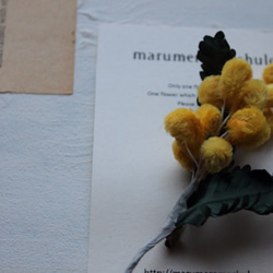 【再販】染花技法で仕立てた　ミモザのブローチ 3枚目の画像