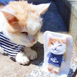 完成品一点物【おねむねこブローチ】ノーマル白猫ちゃん（フェルト・刺繍） 5枚目の画像