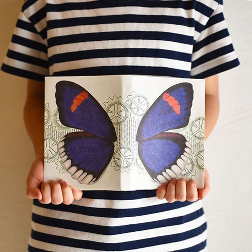 蝶図鑑・文庫カバー 5枚セット ブックカバー コアキナe 通販