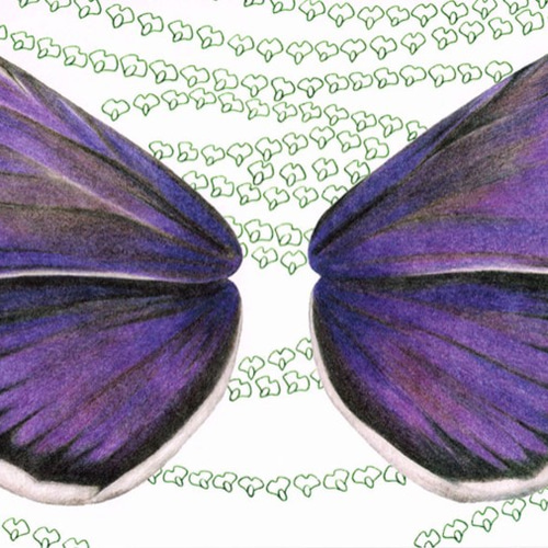 蝶図鑑・文庫カバー 5枚セット ブックカバー コアキナe 通販