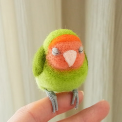 セミオーダー 羊毛フェルト のおすすめ人気通販｜Creema(クリーマ