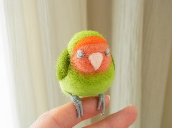 ふくふくおねむな手乗りインコ（コザクラインコ・ノーマル）オーダー