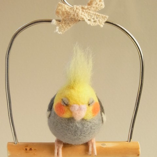 ふくふくおねむな手乗りインコ（オカメインコ・グレー