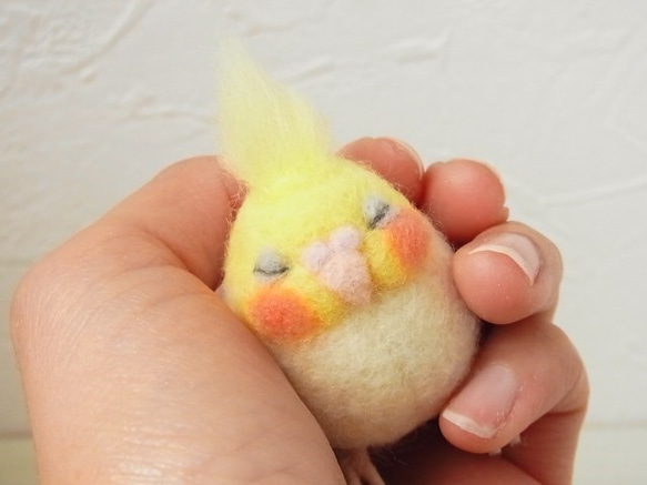 ハンドメイド　オーダー受付ページ　♡さえずり　インコ　パネル♡ ハンドメイド オーダー受付ページ ♡さえずり インコ パネル♡