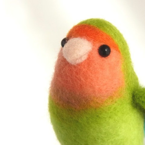 ももひき自慢のワキワキインコ（コザクラインコ・ノーマル） 羊毛