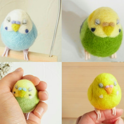 カラーオーダー　ふくふくおねむなセキセイインコ　ブローチor手乗り 2枚目の画像