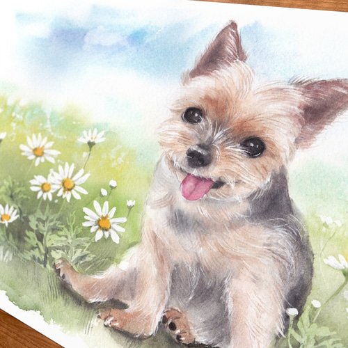 動物画、ペット画(本格水彩画)