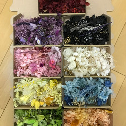 《特集掲載》プリザーブドフラワー花材 詰め合わせ オーダー9カラードライフラワー 花材 色とりどり 花材 2枚目の画像