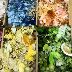 《特集掲載》プリザーブドフラワー花材 詰め合わせ オーダー9カラードライフラワー 花材 色とりどり 花材 5枚目の画像