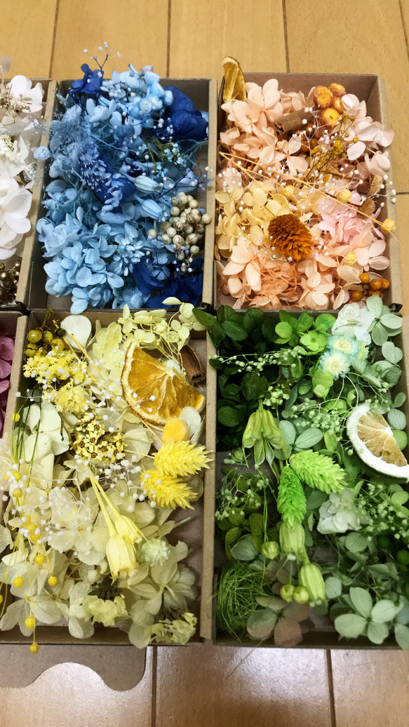 《特集掲載》プリザーブドフラワー花材 詰め合わせ オーダー9カラードライフラワー 花材 色とりどり 花材 5枚目の画像