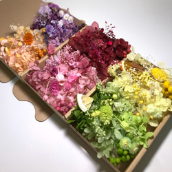 プリザーブドフラワー花材 詰め合わせ オーダー9カラー ハーバリウム花材 ドライフラワー 花材 色とりどり 花材 6枚目の画像
