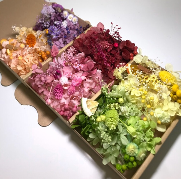 プリザーブドフラワー花材 詰め合わせ オーダー9カラー ハーバリウム花材 ドライフラワー 花材 色とりどり 花材 6枚目の画像