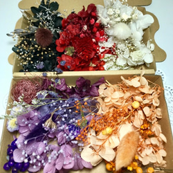 《特集掲載》プリザーブドフラワー花材 詰め合わせ オーダー9カラードライフラワー 花材 色とりどり 花材 8枚目の画像