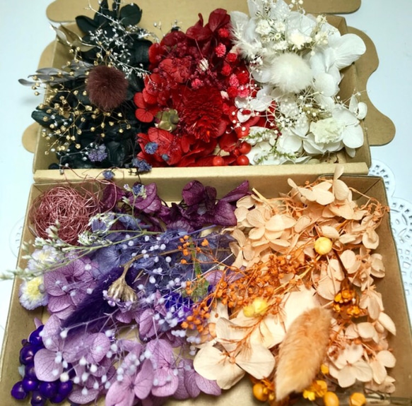 《特集掲載》プリザーブドフラワー花材 詰め合わせ オーダー9カラードライフラワー 花材 色とりどり 花材 8枚目の画像