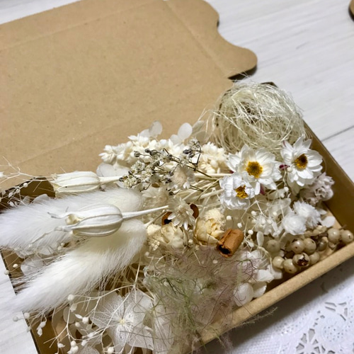 粉雪ホワイト♡ハーバリウム花材ドライフラワー 花材セット その他素材 