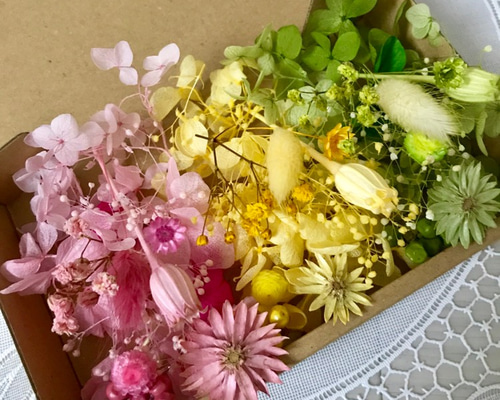 チーゼルフラワー＊ハーバリウム花材ドライフラワー 花材セット