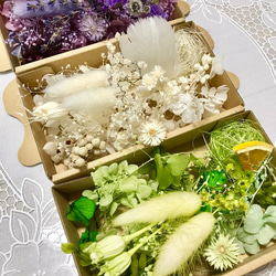 ドライフラワー　3点お纏め 3色3Boxお得チーゼルフラワーオマケ＊ハーバリウム花材ドライ