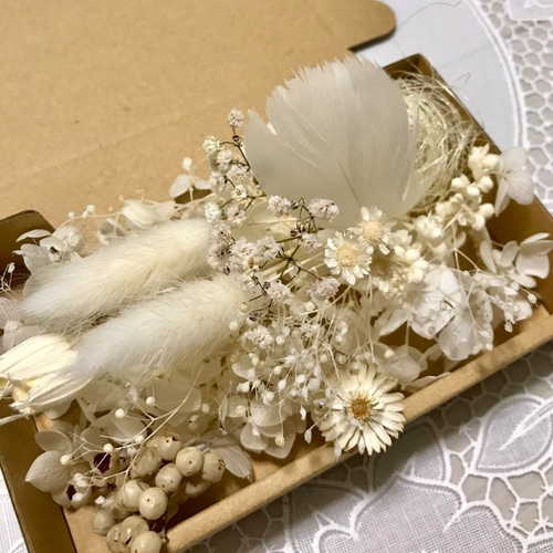 ドライフラワー　3点お纏め 3色3Boxお得チーゼルフラワーオマケ＊ハーバリウム花材ドライ
