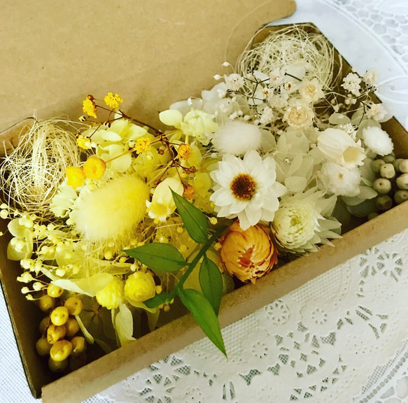 真夏のお花畑＊ハーバリウム花材ドライフラワー 花材セット その他素材  
