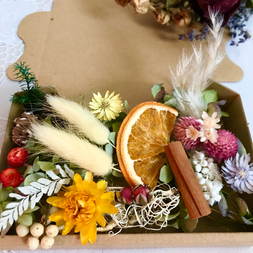 ドライフラワー の仲間たちドライフラワー アソート＊ボタニカル＊ハー