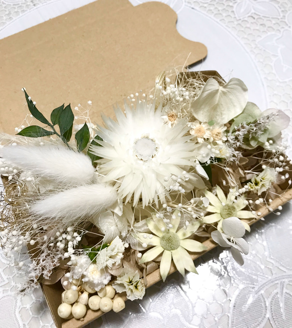 Whiteの香り＊ハーバリウム花材ドライフラワー 花材セット花材詰め合わせ 1枚目の画像