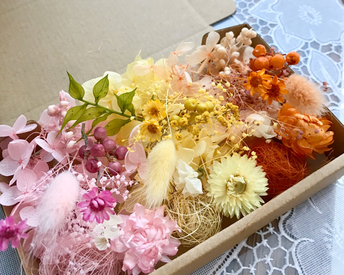 1_d478aa354073afbe19498768b03f