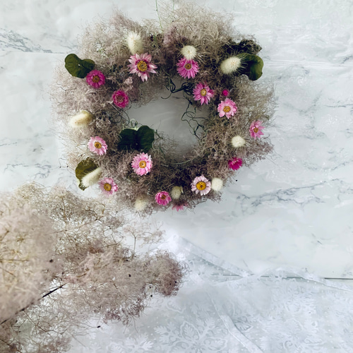 スモークツリーとローダンセのドライフラワーリース ドライフラワー 