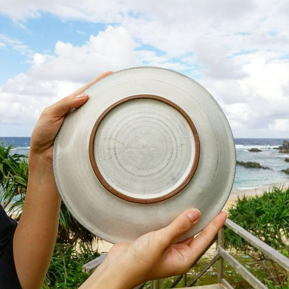 お魚のおしゃべり皿 8.5寸✨ 6枚目の画像