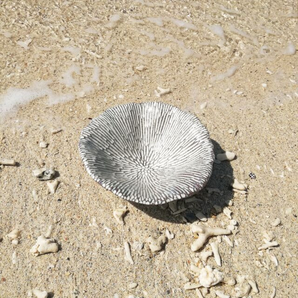 島サンゴのやちむん皿7寸✨ 3枚目の画像