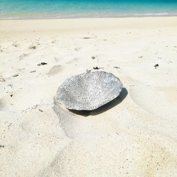 島サンゴのやちむん皿7寸✨ 5枚目の画像