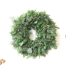 【クリスマス2021】フレッシュエバーグリーン　ナチュラルリース　銀丸葉ユーカリ 2枚目の画像