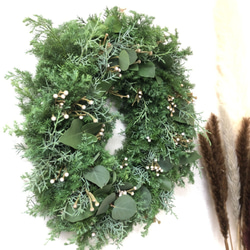 【クリスマス2021】フレッシュエバーグリーン　ナチュラルリース　銀丸葉ユーカリ 3枚目の画像