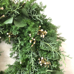 【クリスマス2021】フレッシュエバーグリーン　ナチュラルリース　銀丸葉ユーカリ 4枚目の画像