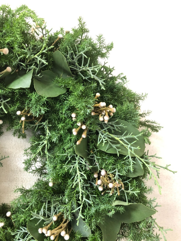【クリスマス2021】フレッシュエバーグリーン　ナチュラルリース　銀丸葉ユーカリ 4枚目の画像