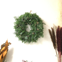 【クリスマス2021】フレッシュエバーグリーン　ナチュラルリース　銀丸葉ユーカリ 6枚目の画像